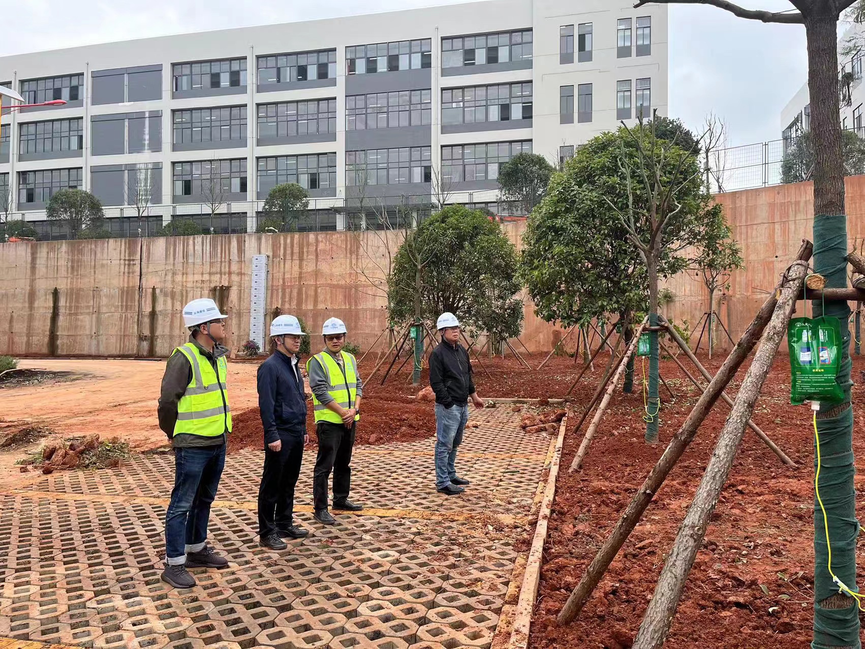 1697113477754160.jpg 1697113477754160.jpg