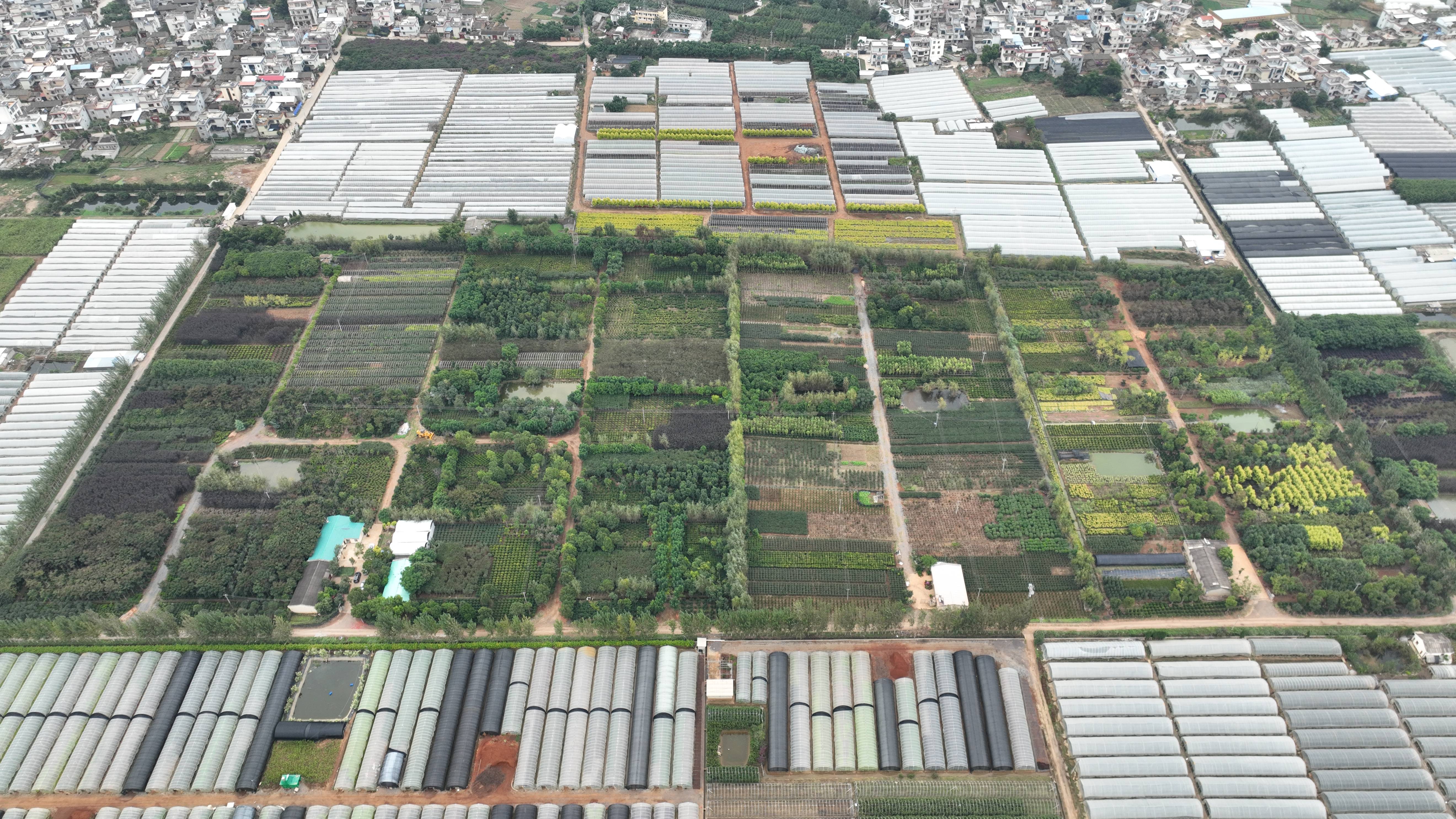 1697192856964308.jpg 1697192856964308.jpg