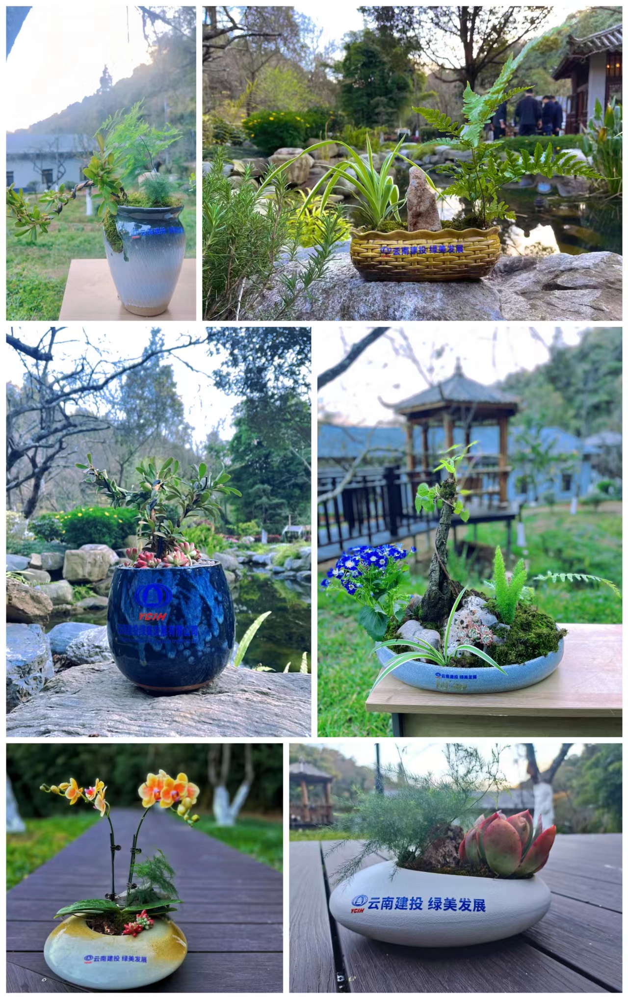 1702437176288017.jpg 1702437176288017.jpg