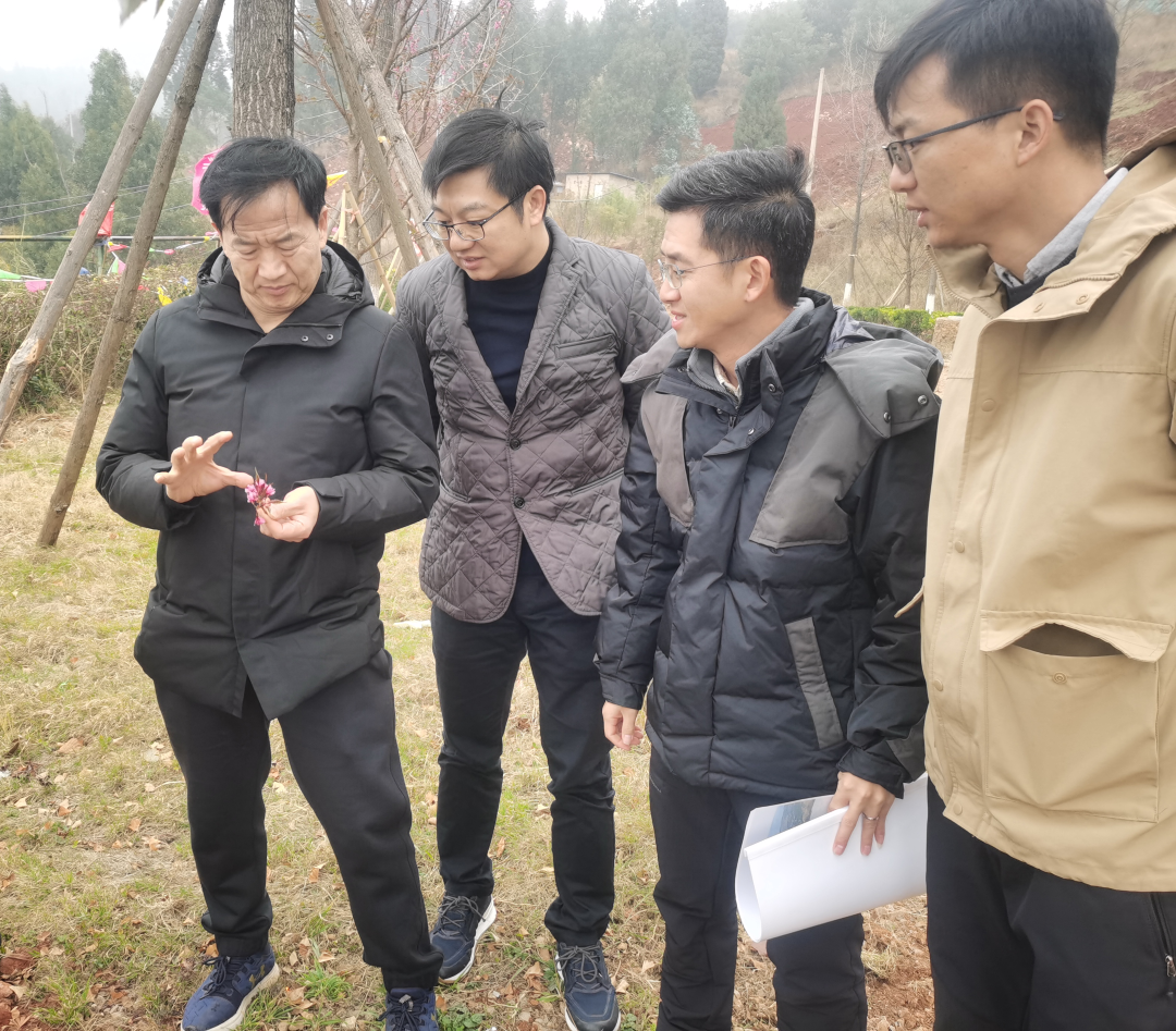 1703502585509034.png 1703502585509034.png