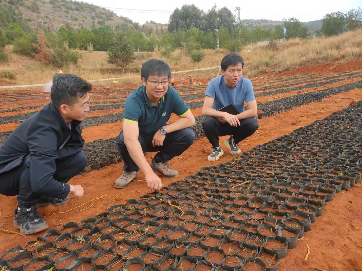 1714833534166255.png 1714833534166255.png