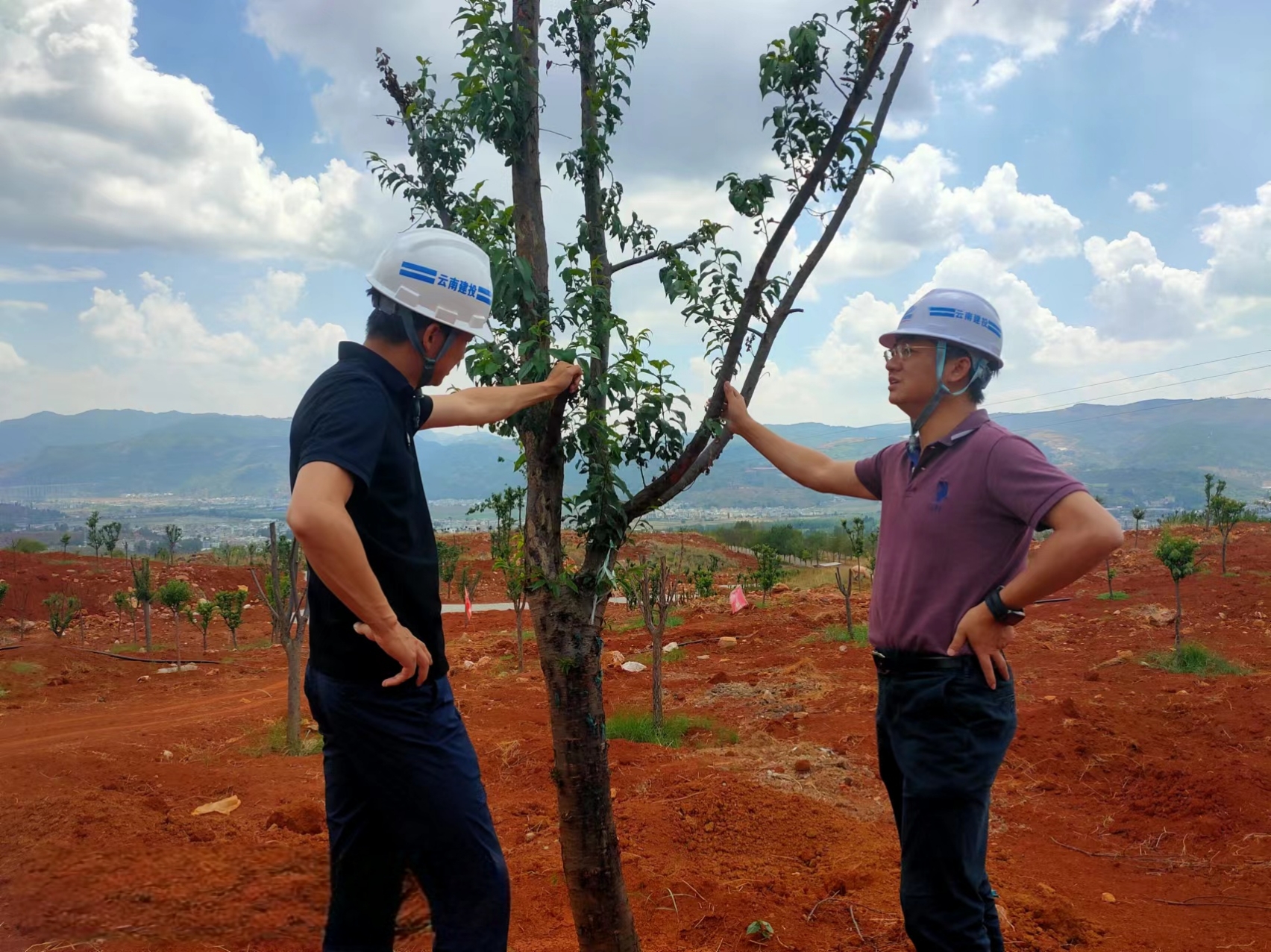 1717769267767112.jpg 1717769267767112.jpg