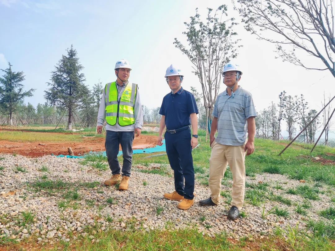 1722849487515815.jpg 1722849487515815.jpg