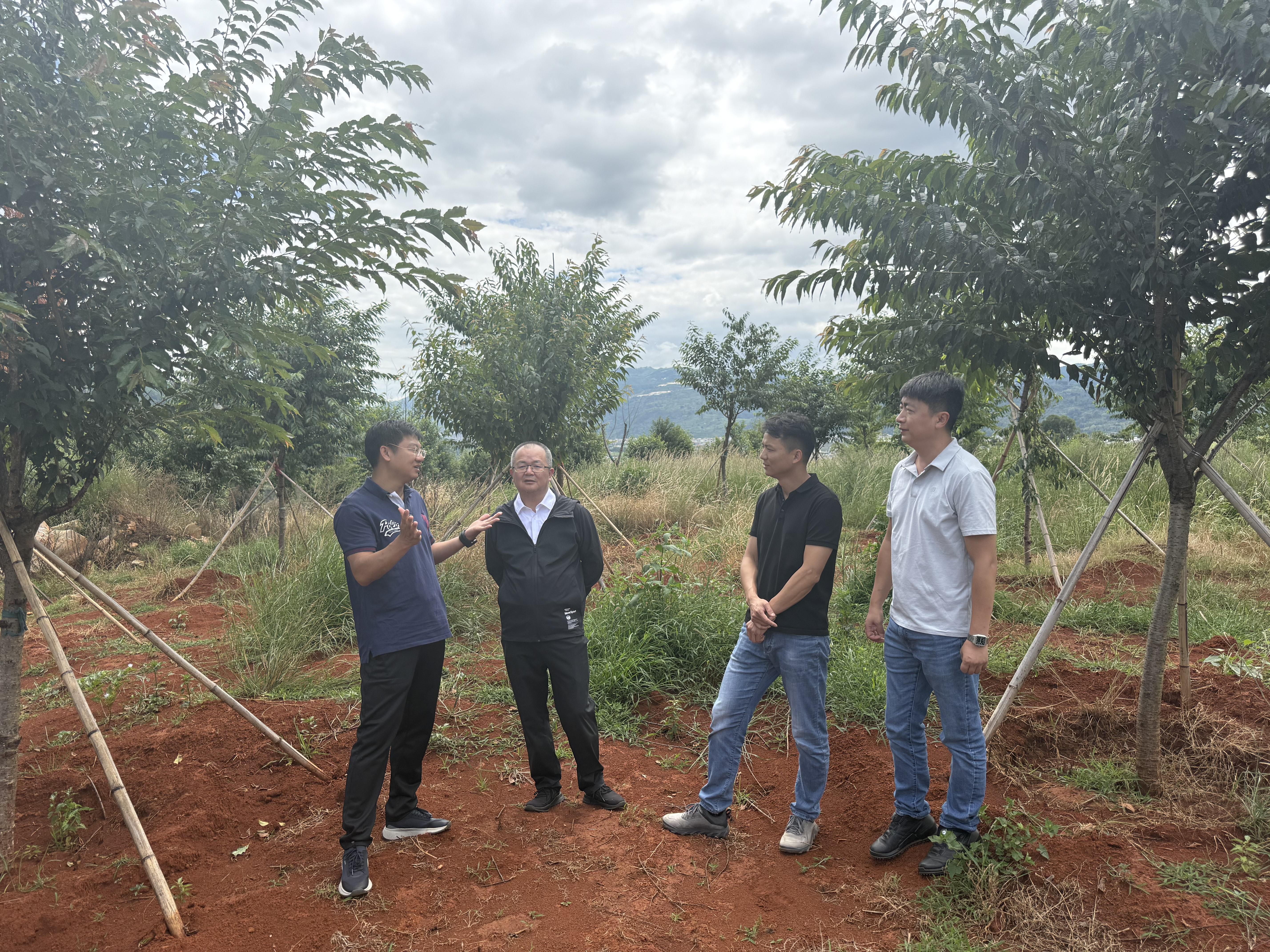 1756689530161745.jpg 1756689530161745.jpg