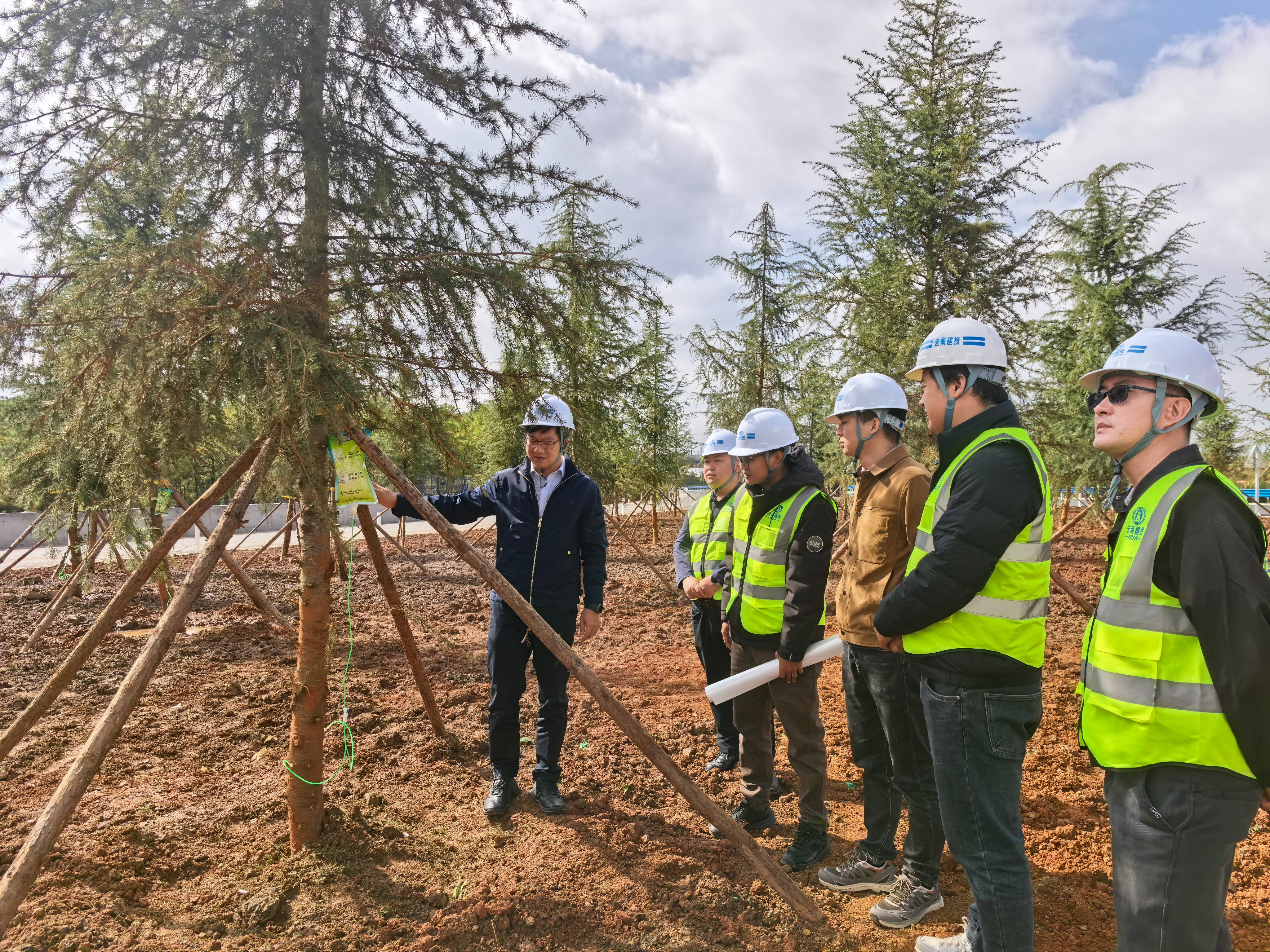 1763341797456565.jpg 1763341797456565.jpg